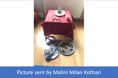 20-Malini-Milan-Kothari