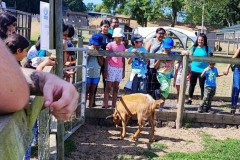North - Gujarati School Farm Trip