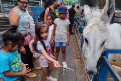 North-Gujarati-School-Farm-Trip-17
